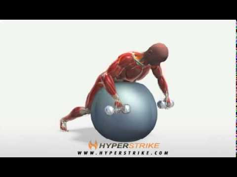 You are currently viewing Exercise Videos- Dumbbell Row on Ball