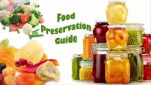 Read more about the article Preservatives Video – 2