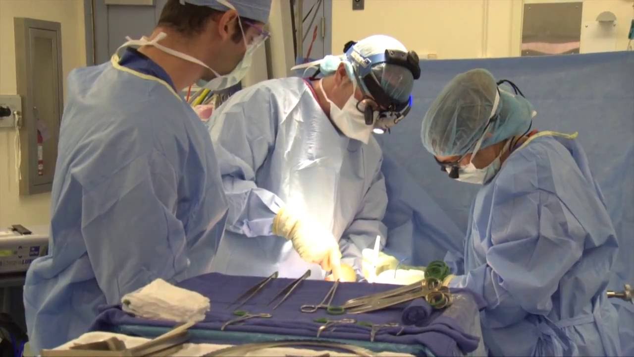 You are currently viewing Organ Transplantation Surgeries Video – 4