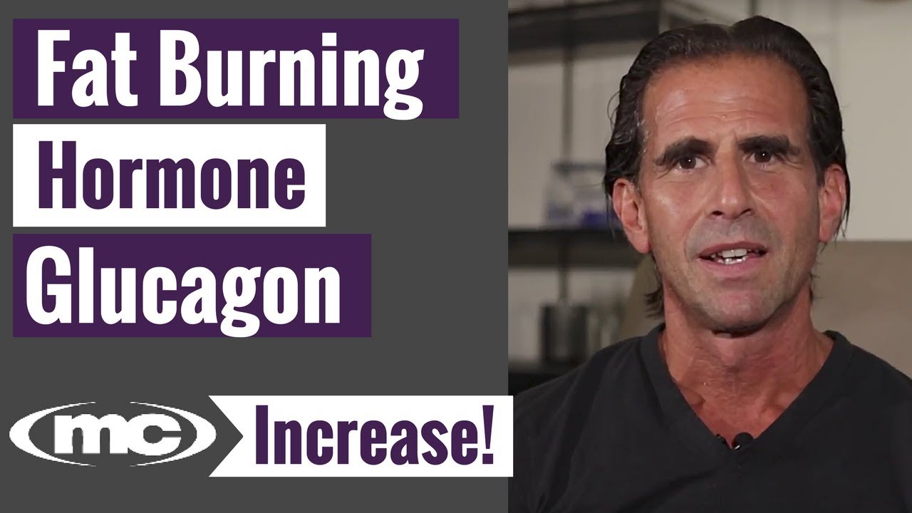 You are currently viewing Fat Burning Hormone – Glucagon And Fat Loss