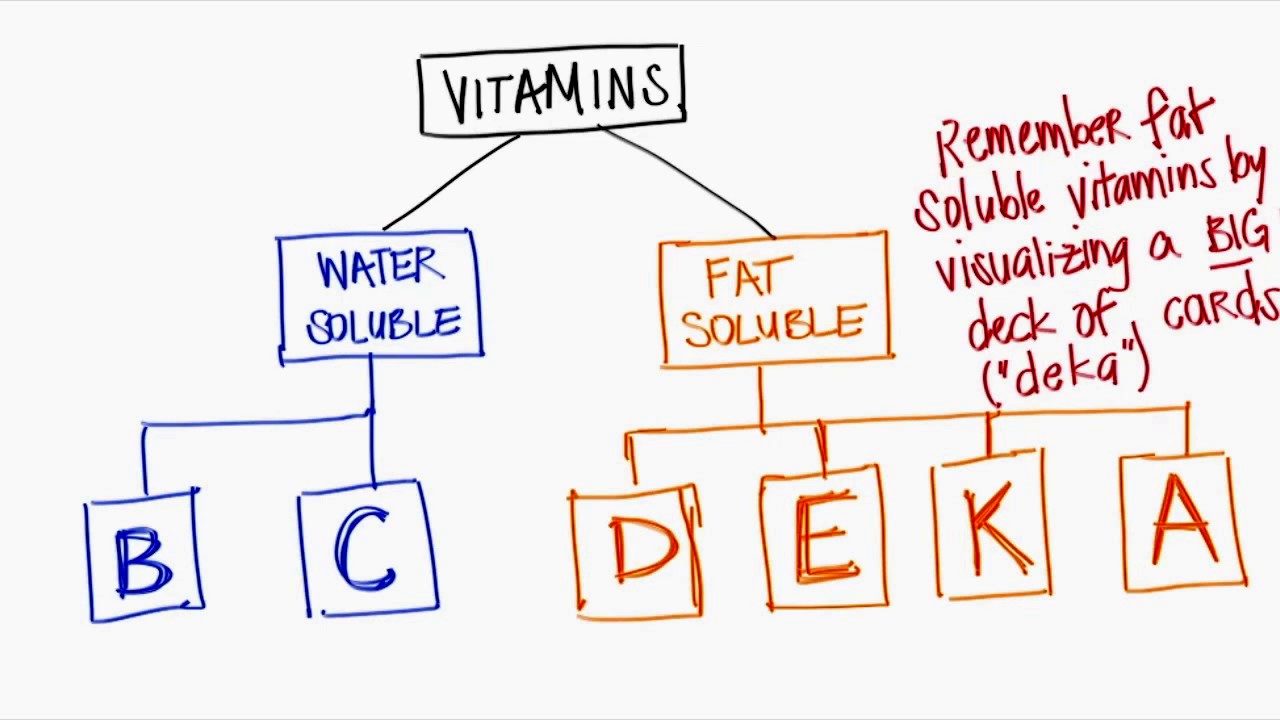 You are currently viewing Fat & Water Soluble Vitamins!