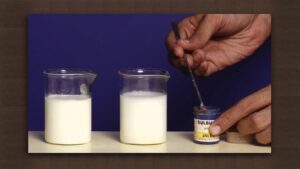 Milk Nutrition & Processing Video – 1