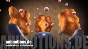 Read more about the article Fatcell Animation, 3d animation of a shrinking fatcell