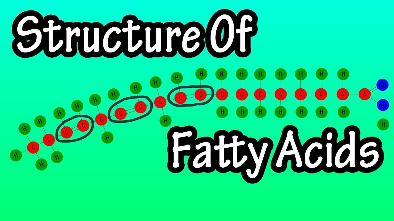 You are currently viewing Fatty Acids – What Are Fatty Acids – Structure Of Fatty Acids – Types Of Fatty Acids