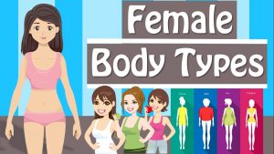 Read more about the article Female Body Types And Body Shapes  Different Body Types Women Have