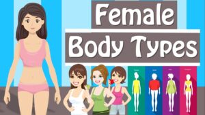 Female Body Types And Body Shapes  Different Body Types Women Have