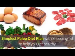 Read more about the article Free Paleo Meal Plan + Shopping List for weight loss