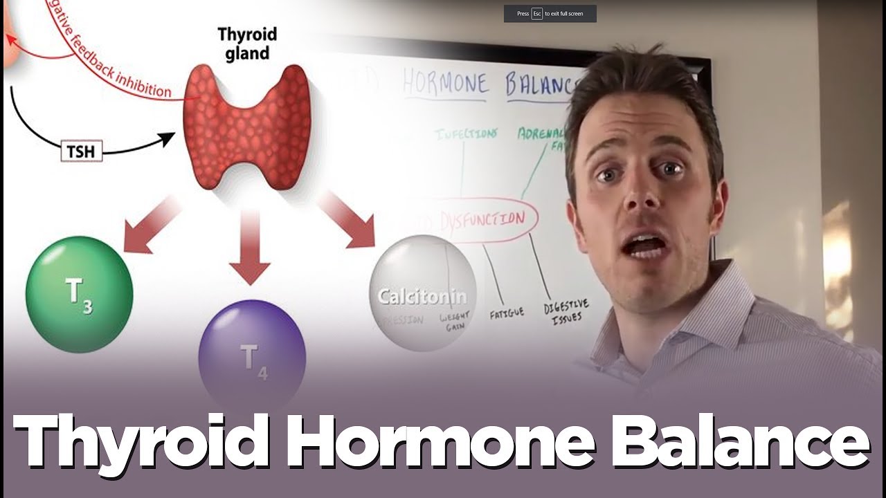 You are currently viewing Free Thyroid Hormone Balance Series