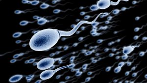 Read more about the article Frequency of Surgical Sperm Retrieval Procedure-Dr. Sathya Balasubramanyam of Cloudnine Hospitals