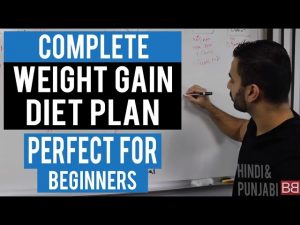 Read more about the article Full day Diet Plan to GAIN WEIGHT for Beginners! (Hindi / Punjabi)