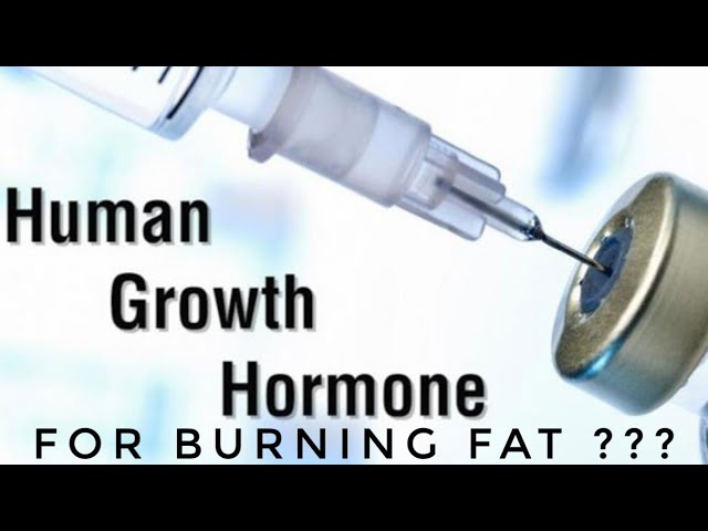 You are currently viewing GROWTH HORMONE FOR FAT LOSS???- Dr. NIKHIL TARI’S EXPLANATIONS