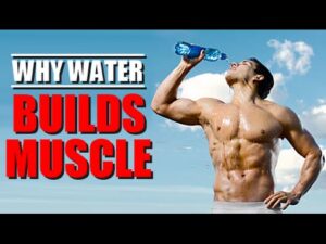 Read more about the article HOW TO GET BUFF BY DRINKING WATER | DRINK MORE WATER TO BUILD MORE MUSCLE