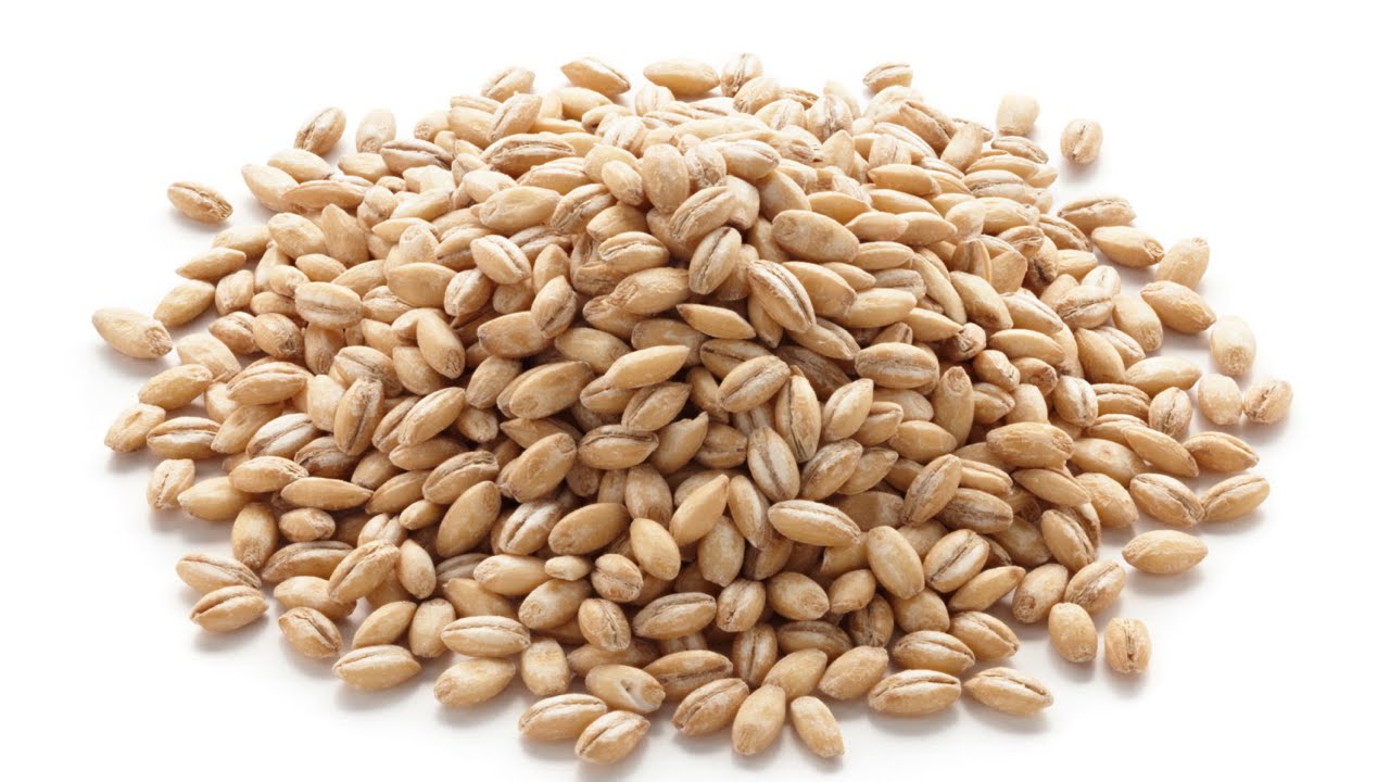 You are currently viewing Health Benefits of Barley – Nutritional Information
