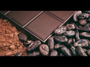 Chocolate Nutrition Video – 2