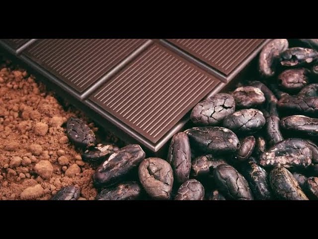 You are currently viewing Chocolate Nutrition Video – 2