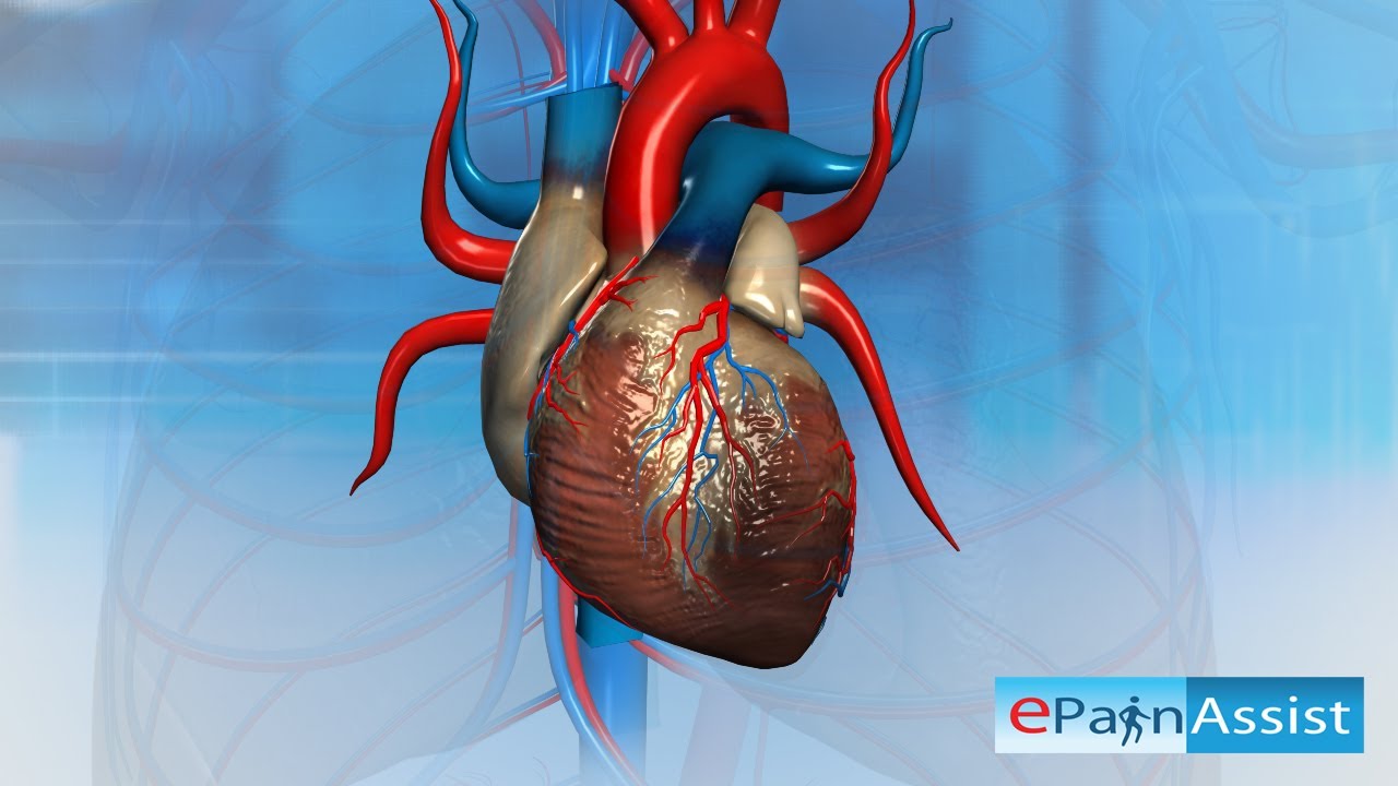 You are currently viewing Heart Attack-What Can Cause a Heart To Stop Beating?