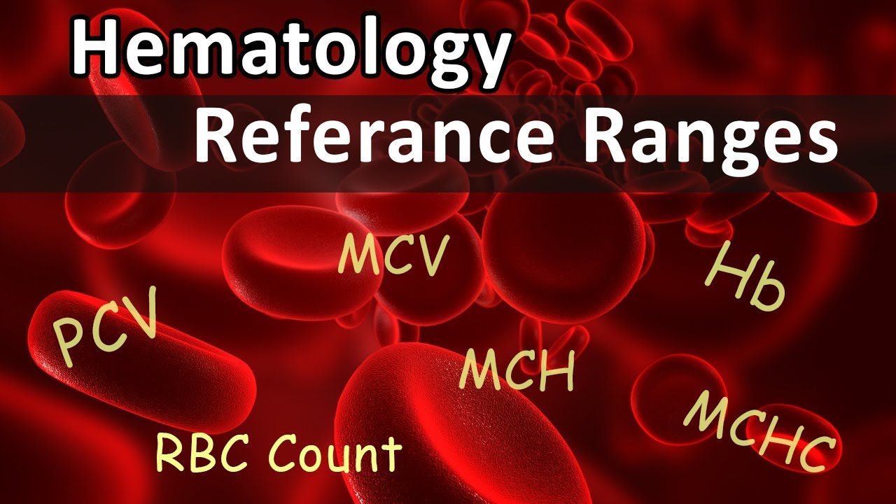 You are currently viewing Hematology Video – 4