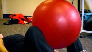 Read more about the article Hip Adductor Exercises on the Ball : Smart Exercises