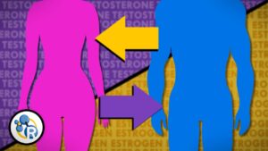 Read more about the article Hormones and Gender Transition