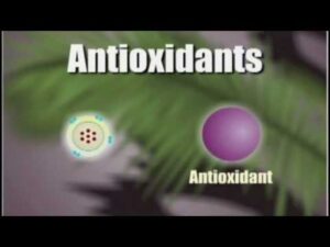 Antioxidant Supplements Video – 2