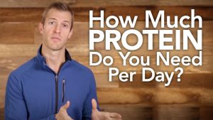 Read more about the article How Much Protein Do You Need Per Day?