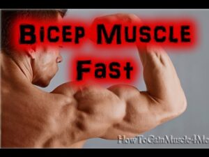 Read more about the article How To Build Bicep Muscle Fast – Bodybuilding Tips
