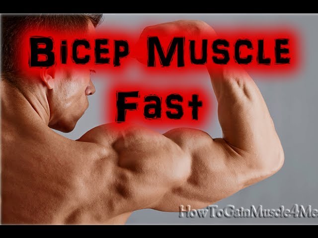 You are currently viewing How To Build Bicep Muscle Fast – Bodybuilding Tips
