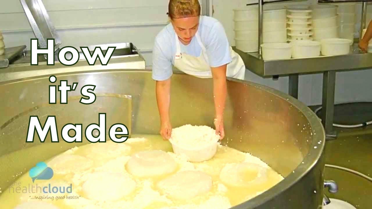 You are currently viewing How Whey Protein is Made | Step by Step Behind the Maker