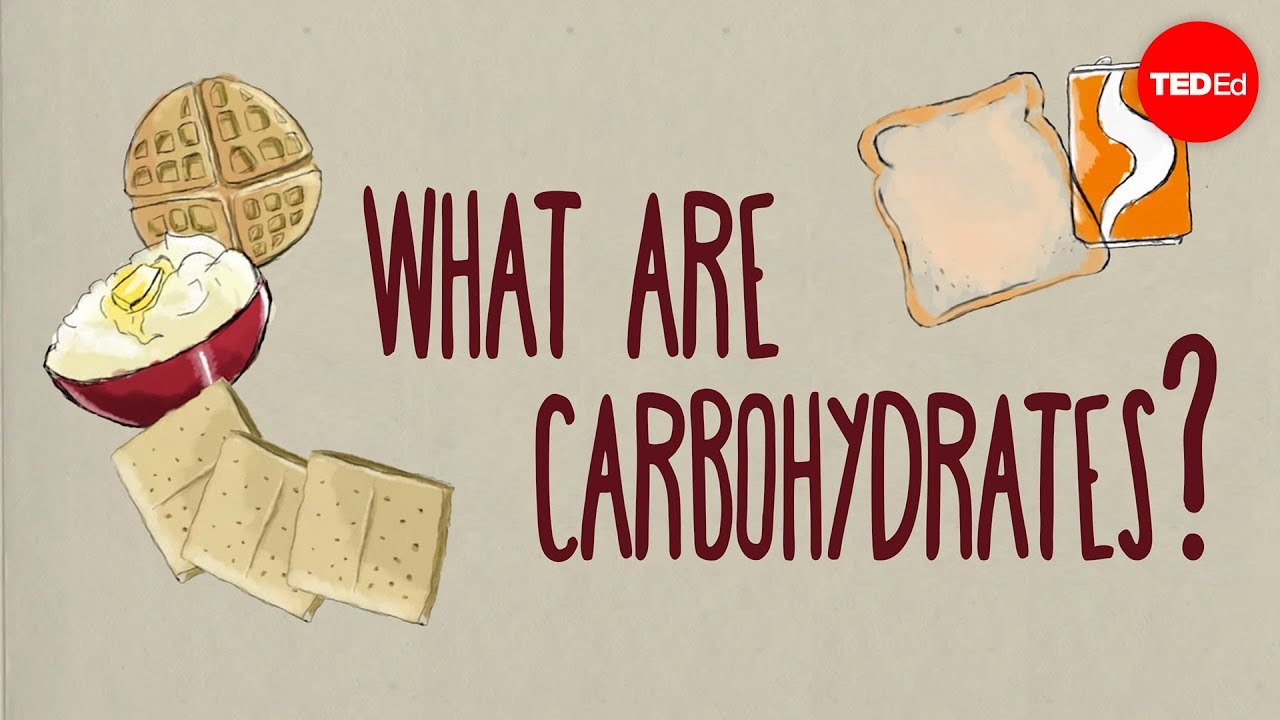 You are currently viewing Carbohydrate Nutrition Video – 2