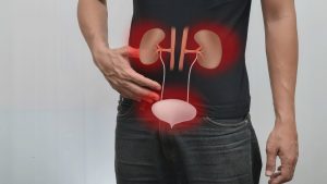 Read more about the article How is kidney function related to blood pressure? – Dr. Pallavi Patri