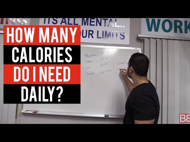 You are currently viewing How many CALORIES DO I NEED DAILY? (Hindi / Punjabi)