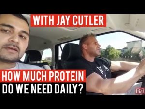 Read more about the article How much PROTEIN do we need DAILY? (Hindi / Punjabi)