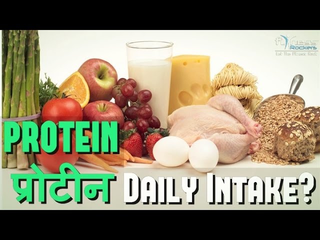 You are currently viewing How much protein do we need every day | daily protein requirement | Hindi | Fitness Rockers