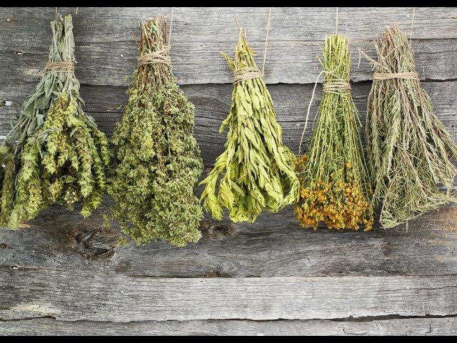 You are currently viewing Herbs Video – 4