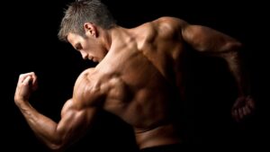 Bodybuilding Nutrition, Diet Recipes & Workout – 46