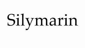 Read more about the article How to Pronounce Silymarin
