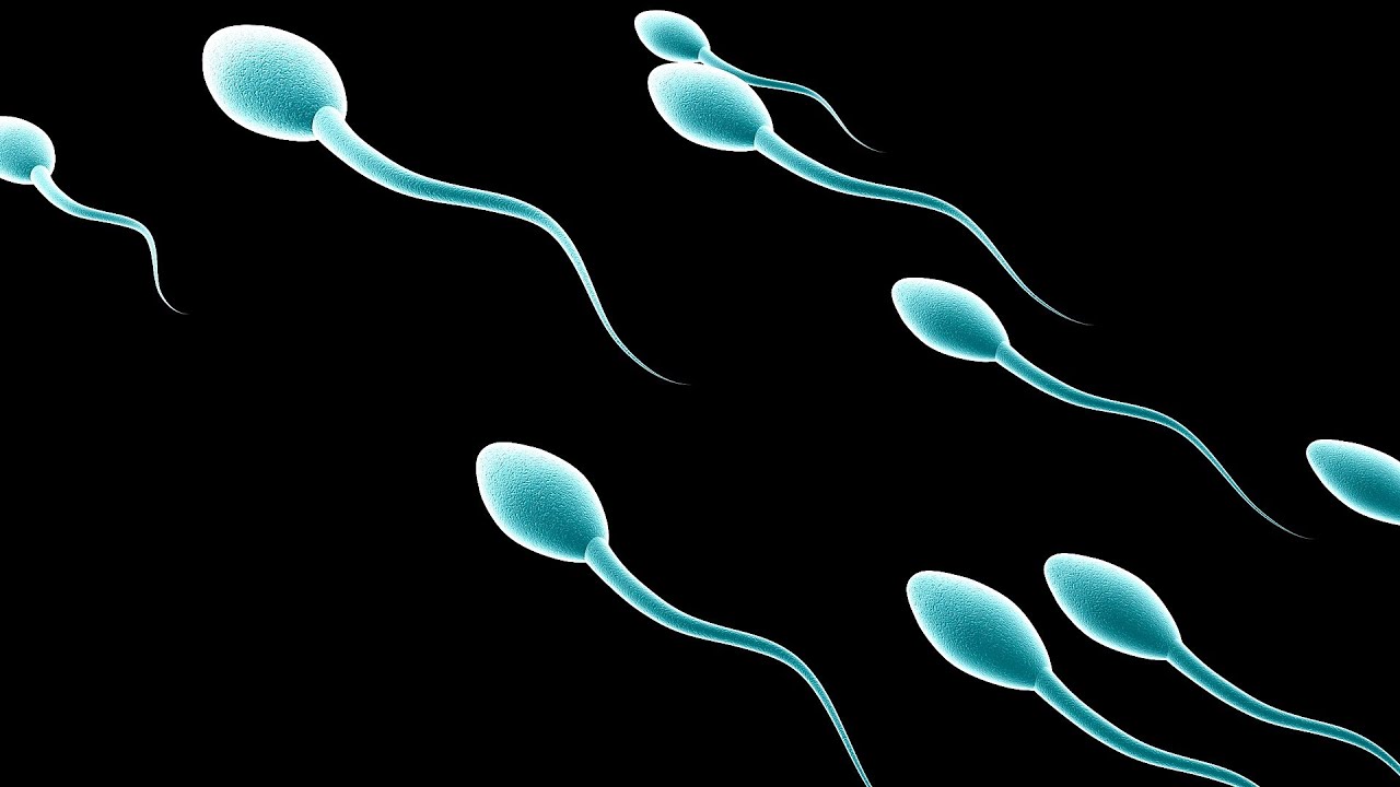 You are currently viewing How to Treat a Low Sperm Count | Infertility