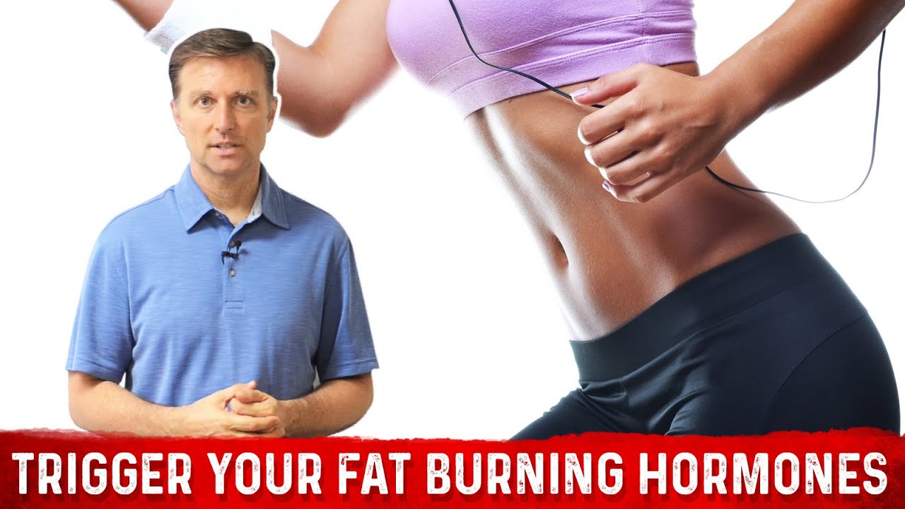 You are currently viewing How to Trigger Your Fat Burning Hormones | Dr. Berg