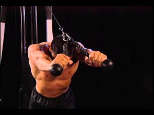 Read more about the article How to do Cable Bent Over Triceps Extensions? #91