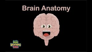 Read more about the article Human Body for Kids/Brain Song/Human Body Systems