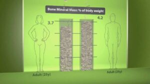 Read more about the article Human body composition