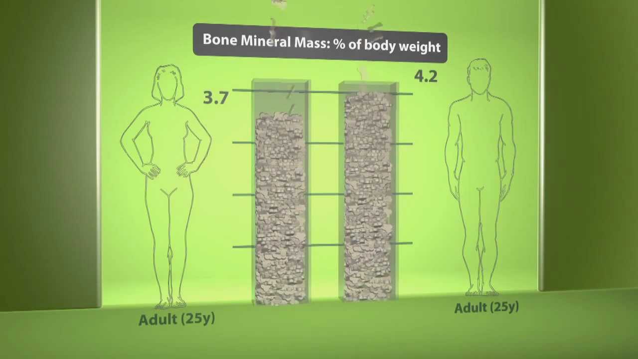 You are currently viewing Human body composition