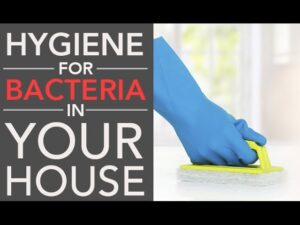 Hygiene And House Keeping Video – 3