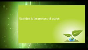 Read more about the article Importance of nutrition in Human body