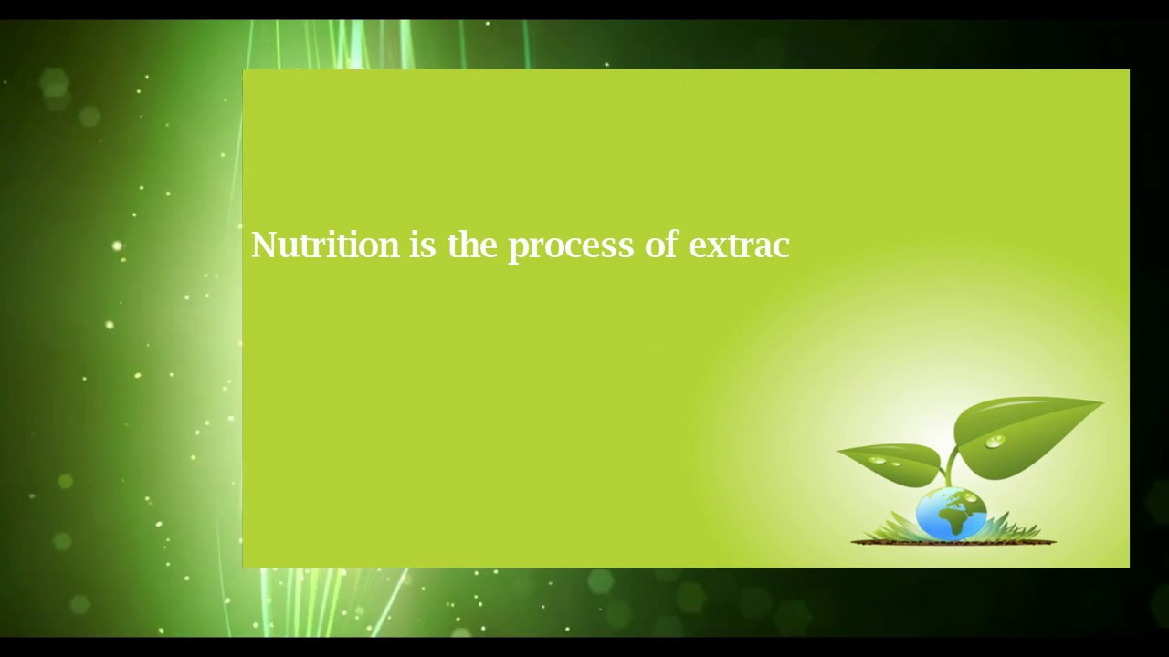 You are currently viewing Importance of nutrition in Human body