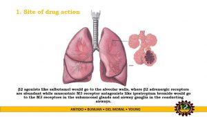 Read more about the article Inhalational Route of Administration