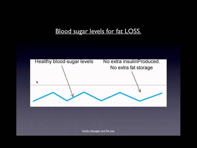 You are currently viewing Insulin, glucagon and fat loss
