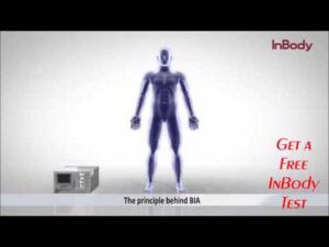 Introducing The InBody 270 Body Composition Analyzer