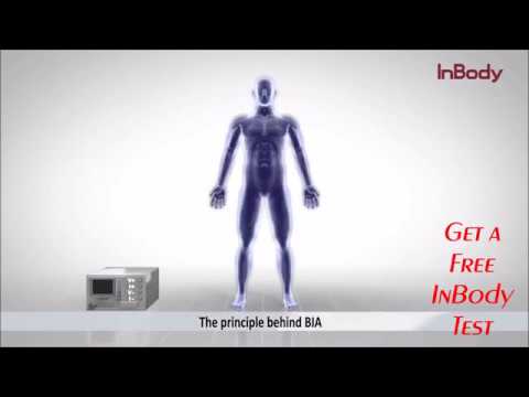 You are currently viewing Introducing The InBody 270 Body Composition Analyzer