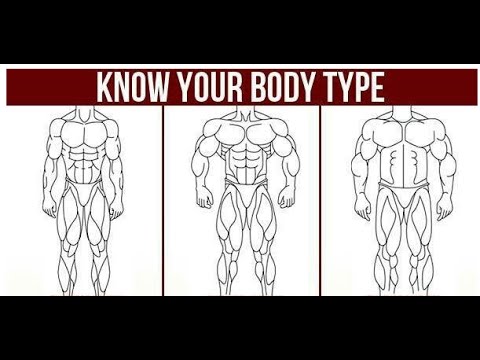 You are currently viewing KNOW YOUR BODY TYPE